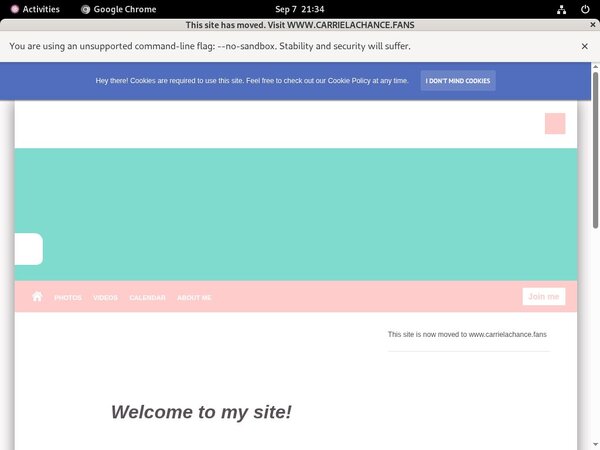 X Site Passwords