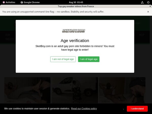 Sketboy Signup Form
