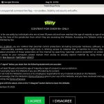 Twink Boys Party Web Site